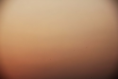 13_feb_2013_pink_sunset